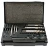 SCREW EXTRACTOR SET 12 PCE WITH DRILL BITS FOR M3 - M24 SCREWS / STUDS (TC41012)